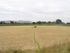UK 05 015 14 (2)