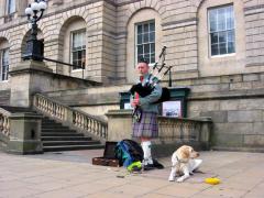 UK 05 115 02 4_piper