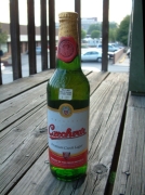 2006 Tozickova Ladislava (4)