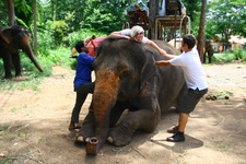 Khao Yai National Park