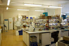 lab