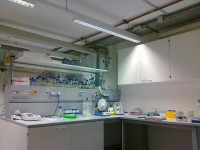 In_the_lab_2