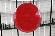 IMG_2830