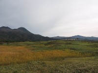 DSCN2969