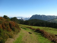 IMG_0042 IMG_0042