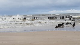 27785531_10211181973160315_594070817_o