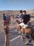 Camel_Riding_in_the_Desert