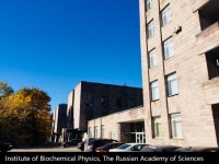 itute_of_Biochemical_Physics,_The_Russian_Academy_of_Sciences