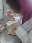 IMG-20210801-WA0029