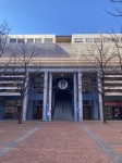 IMG_5914 IMG_5914