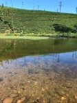 IMG_9727