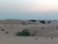 photo1696169186