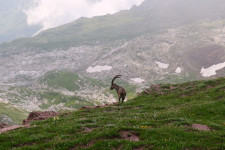 photo_2024-08-05_15-37-08