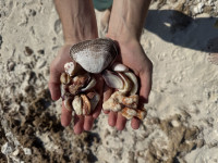 20251130_085800806_iOS