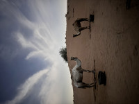 20251205_202106731_iOS