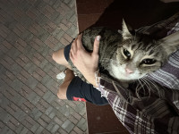 20260127_153306749_iOS