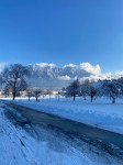 photo_2026-04-20_13-32-24