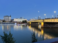 IMG_4661__1___1_