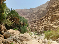 IMG20260724121808