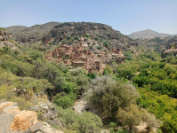 IMG20260801111803