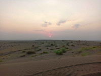 IMG20260815182930