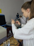 Snimek_obrazovky_2026-08-27_185543