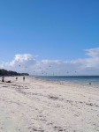 low-quality-20260808_165744